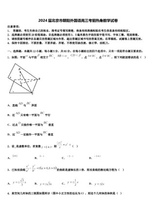 2024届北京市朝阳外国语高三考前热身数学试卷含解析.doc