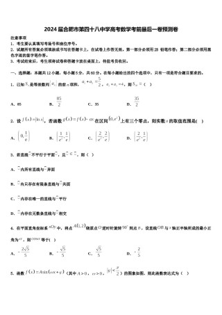 2024届合肥市第四十八中学高考数学考前最后一卷预测卷含解析.doc