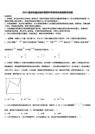 2024届吉林省白城市第四中学高考仿真卷数学试题含解析.doc