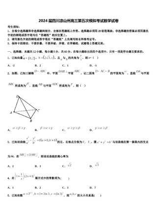 2024届四川凉山州高三第五次模拟考试数学试卷含解析.doc