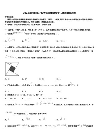 2024届四川电子科大实验中学高考压轴卷数学试卷含解析.doc