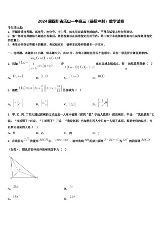 2024届四川省乐山一中高三（最后冲刺）数学试卷含解析.doc