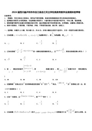 2024届四川省泸州市市合江县合江天立学校高高考数学全真模拟密押卷含解析.doc
