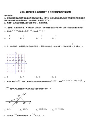 2024届四川省米易中学高三3月份模拟考试数学试题含解析.doc