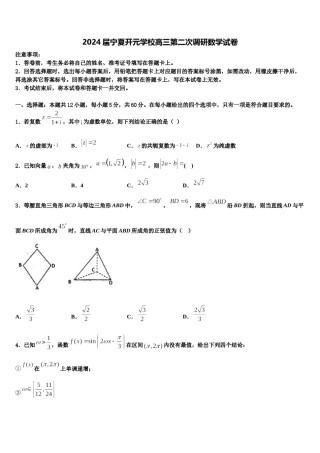2024届宁夏开元学校高三第二次调研数学试卷含解析.doc