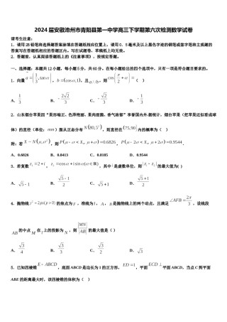 2024届安徽池州市青阳县第一中学高三下学期第六次检测数学试卷含解析.doc