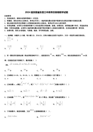2024届安徽省东至三中高考仿真卷数学试题含解析.doc
