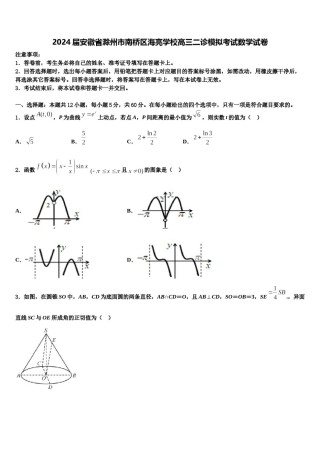 2024届安徽省滁州市南桥区海亮学校高三二诊模拟考试数学试卷含解析.doc
