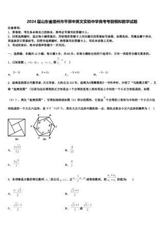 2024届山东省德州市平原中英文实验中学高考考前模拟数学试题含解析.doc