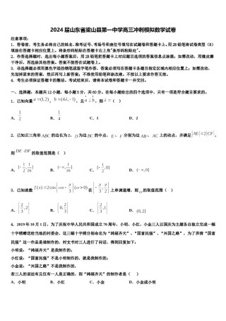 2024届山东省梁山县第一中学高三冲刺模拟数学试卷含解析.doc