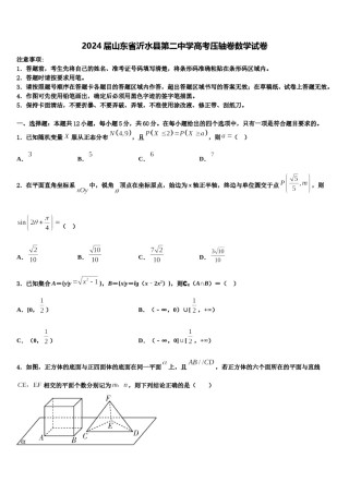 2024届山东省沂水县第二中学高考压轴卷数学试卷含解析.doc
