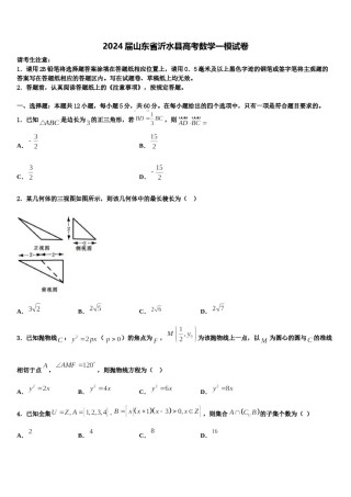 2024届山东省沂水县高考数学一模试卷含解析.doc