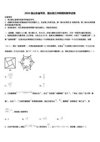 2024届山东省菏泽、烟台高三冲刺模拟数学试卷含解析.doc