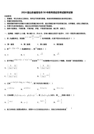 2024届山东省青岛市58中高考适应性考试数学试卷含解析.doc