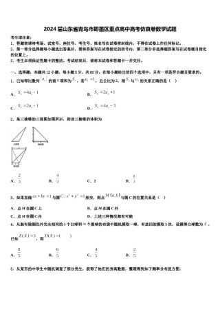 2024届山东省青岛市即墨区重点高中高考仿真卷数学试题含解析.doc