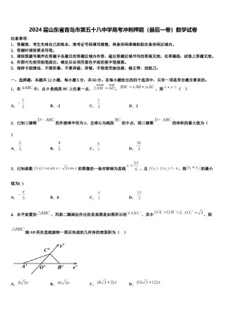 2024届山东省青岛市第五十八中学高考冲刺押题（最后一卷）数学试卷含解析.doc