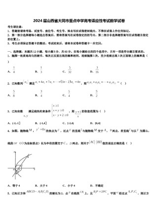 2024届山西省大同市重点中学高考适应性考试数学试卷含解析.doc