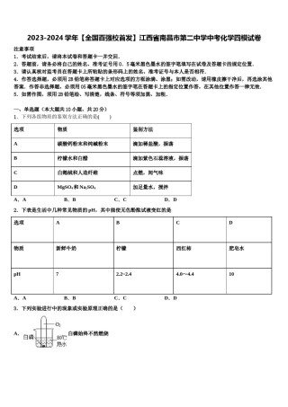 2023-2024学年【全国百强校首发】江西省南昌市第二中学中考化学四模试卷含解析.doc