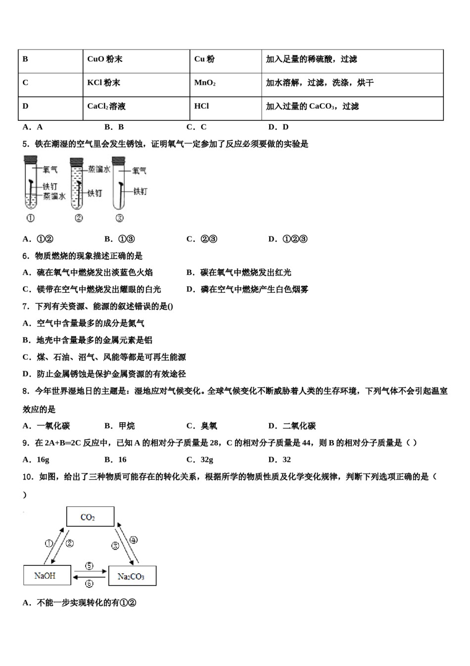 2023-2024学年【新东方】江西省南昌市十校中考试题猜想化学试卷含解析.doc_第2页