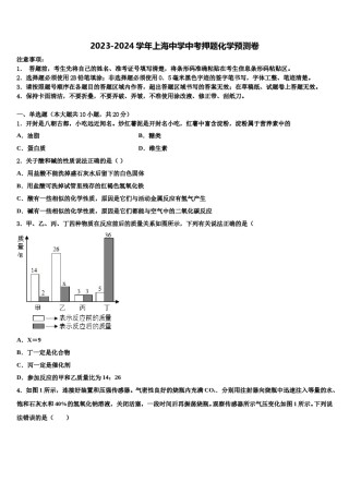 2023-2024学年上海中学中考押题化学预测卷含解析.doc