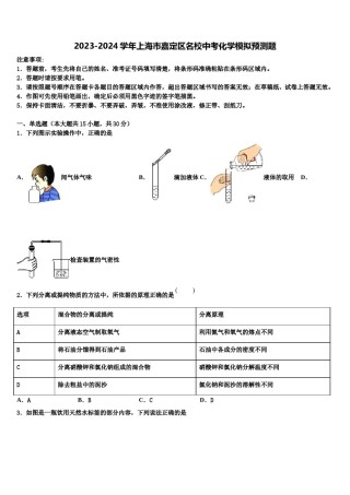 2023-2024学年上海市嘉定区名校中考化学模拟预测题含解析.doc