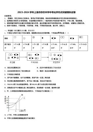 2023-2024学年上海市存志中学中考化学对点突破模拟试卷含解析.doc