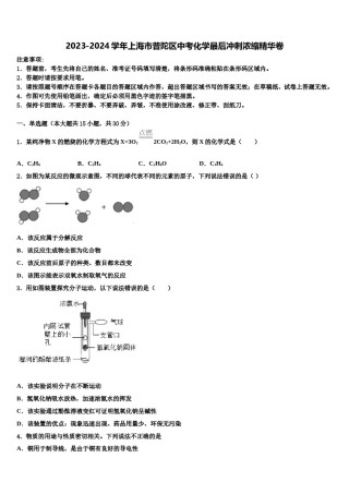 2023-2024学年上海市普陀区中考化学最后冲刺浓缩精华卷含解析.doc