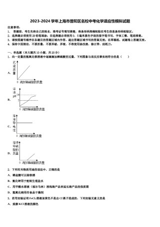 2023-2024学年上海市普陀区名校中考化学适应性模拟试题含解析.doc