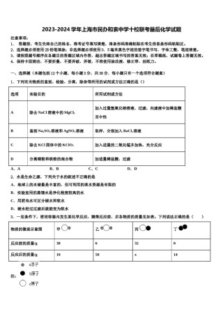 2023-2024学年上海市民办和衷中学十校联考最后化学试题含解析.doc
