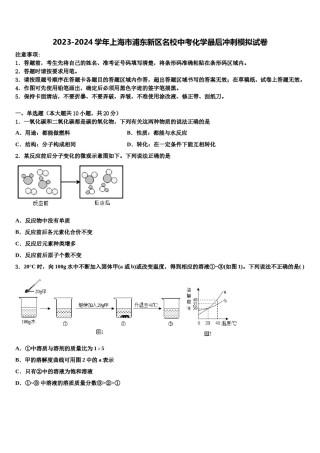 2023-2024学年上海市浦东新区名校中考化学最后冲刺模拟试卷含解析.doc