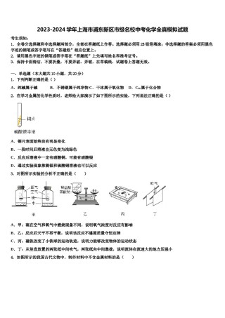 2023-2024学年上海市浦东新区市级名校中考化学全真模拟试题含解析.doc