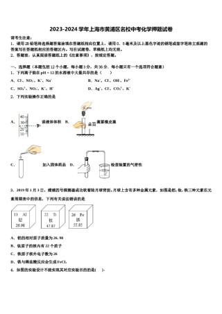 2023-2024学年上海市黄浦区名校中考化学押题试卷含解析.doc