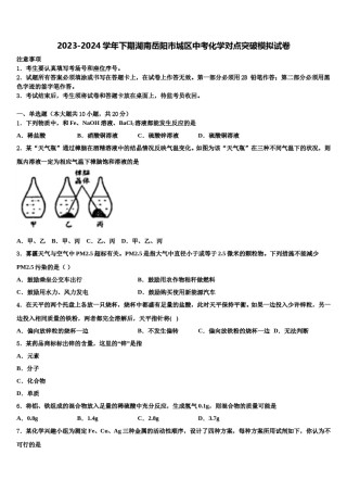 2023-2024学年下期湖南岳阳市城区中考化学对点突破模拟试卷含解析.doc
