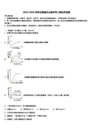 2023-2024学年云南省文山县中考二模化学试题含解析.doc