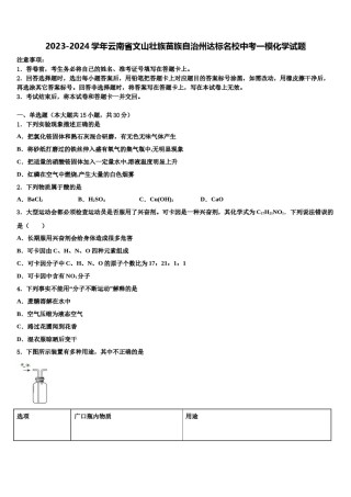 2023-2024学年云南省文山壮族苗族自治州达标名校中考一模化学试题含解析.doc