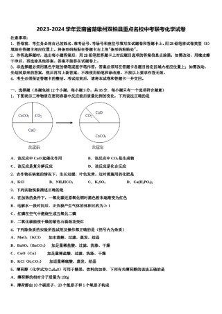 2023-2024学年云南省楚雄州双柏县重点名校中考联考化学试卷含解析.doc