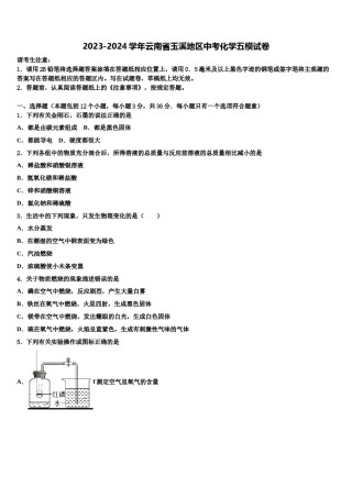 2023-2024学年云南省玉溪地区中考化学五模试卷含解析.doc