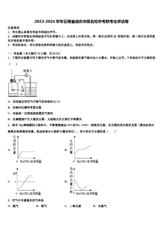 2023-2024学年云南省迪庆市级名校中考联考化学试卷含解析.doc