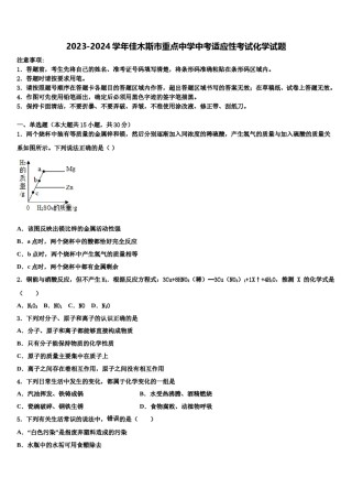 2023-2024学年佳木斯市重点中学中考适应性考试化学试题含解析.doc