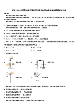 2023-2024学年内蒙古满洲里市重点中学中考化学考试模拟冲刺卷含解析.doc
