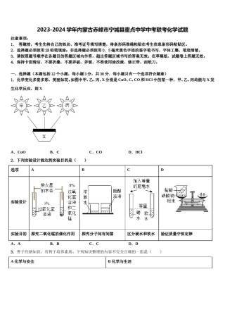 2023-2024学年内蒙古赤峰市宁城县重点中学中考联考化学试题含解析.doc