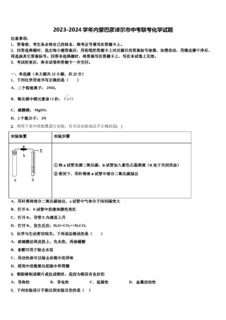2023-2024学年内蒙巴彦淖尔市中考联考化学试题含解析.doc