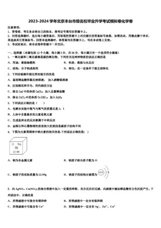 2023-2024学年北京丰台市级名校毕业升学考试模拟卷化学卷含解析.doc