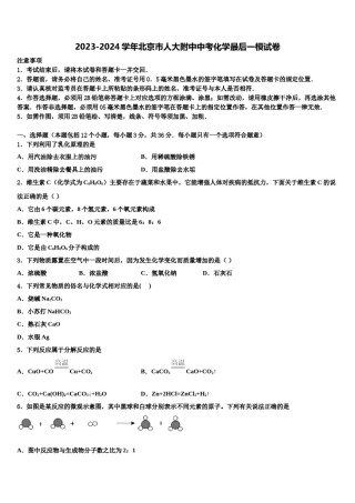 2023-2024学年北京市人大附中中考化学最后一模试卷含解析.doc