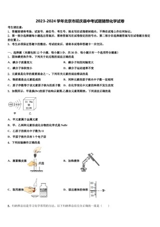 2023-2024学年北京市延庆县中考试题猜想化学试卷含解析.doc