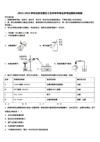 2023-2024学年北京市第五十五中学中考化学考试模拟冲刺卷含解析.doc