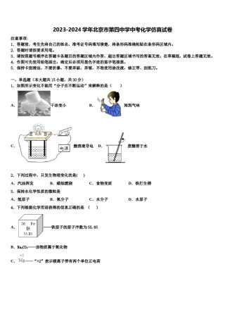 2023-2024学年北京市第四中学中考化学仿真试卷含解析.doc