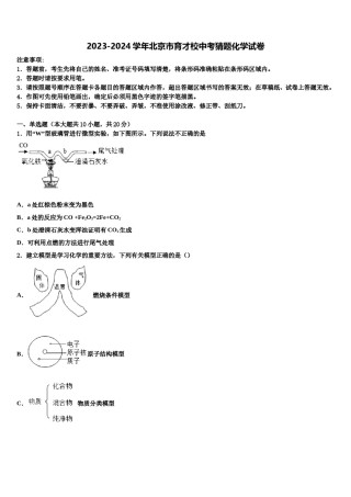 2023-2024学年北京市育才校中考猜题化学试卷含解析.doc