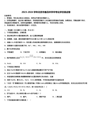 2023-2024学年北京市鲁迅中学中考化学仿真试卷含解析.doc