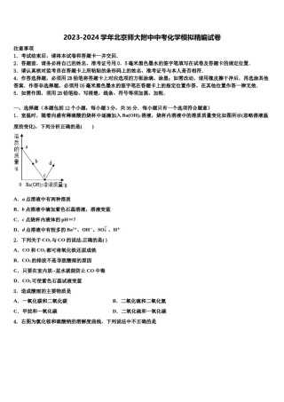 2023-2024学年北京师大附中中考化学模拟精编试卷含解析.doc